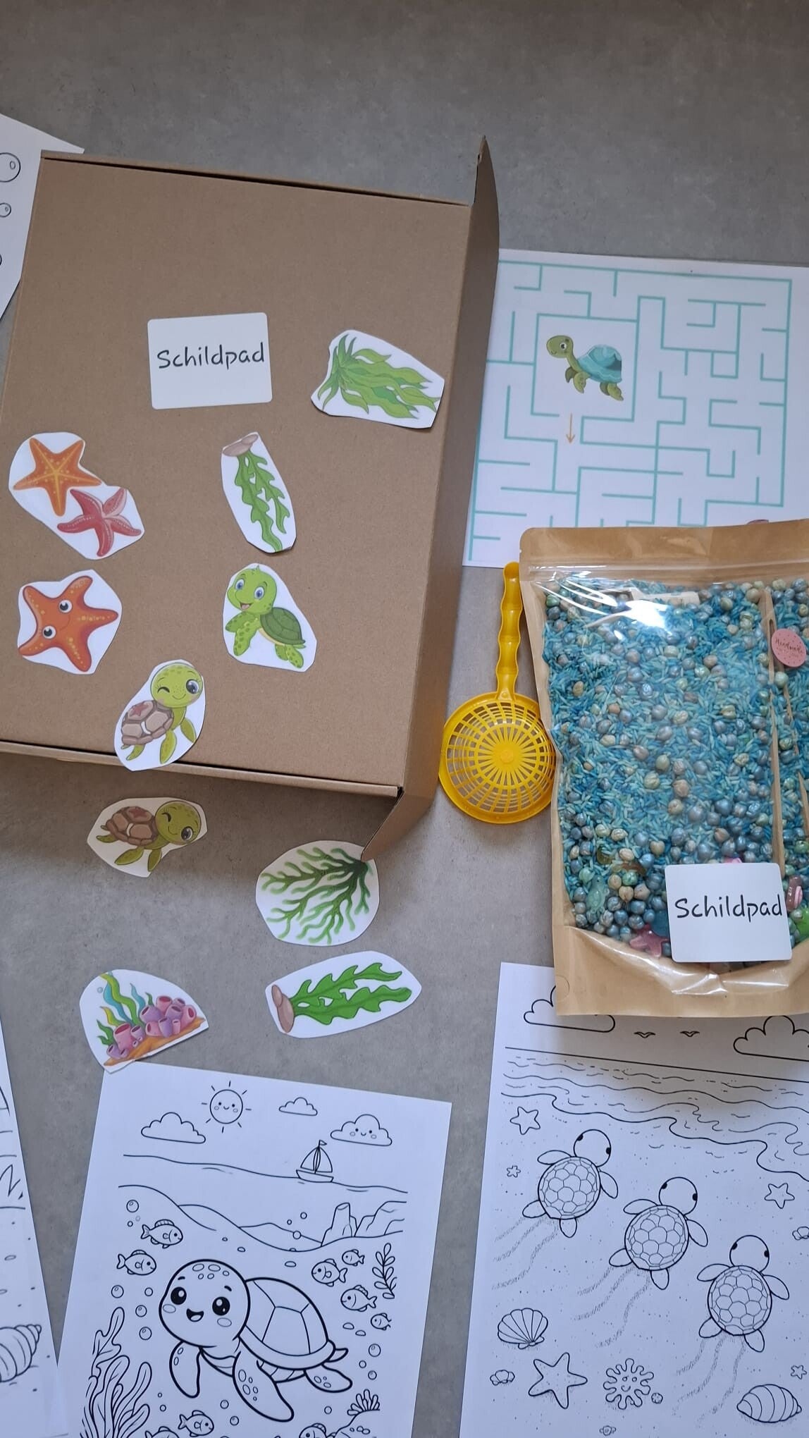Thema box Schildpad