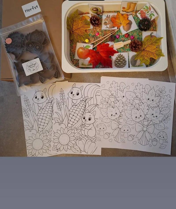 Speelrijst box Herfst inclusief vulvormen