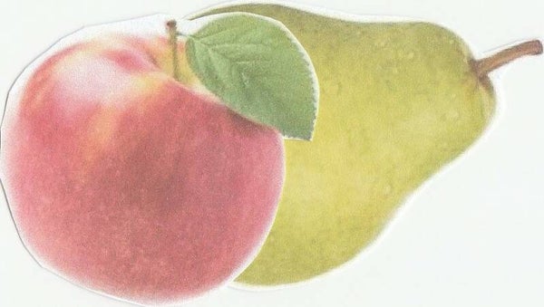 Appel Peer pak van 3 liter
