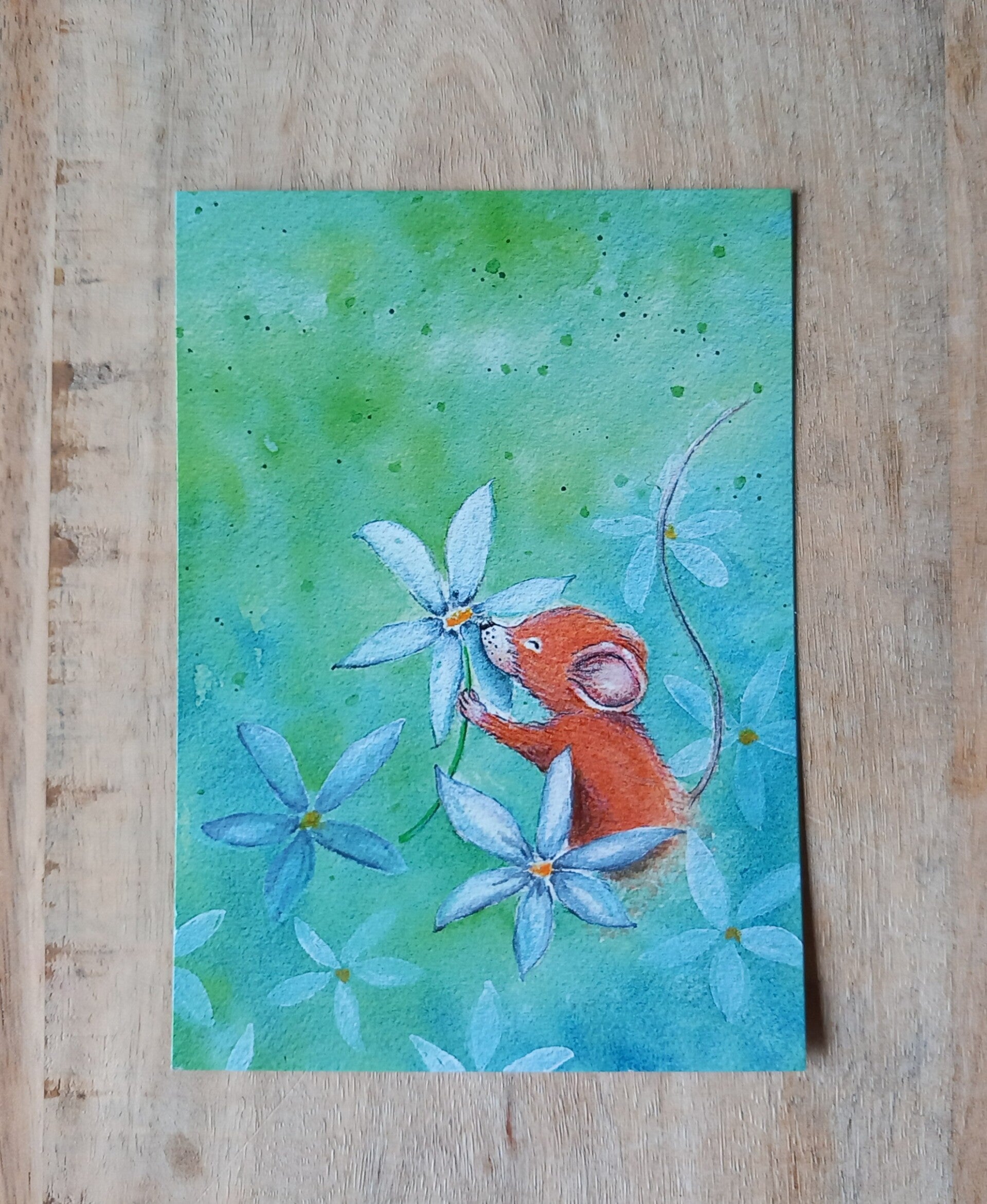 Wenskaart - Margrietjes