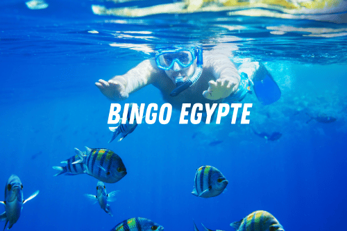 Bingo Reizen Egypte
