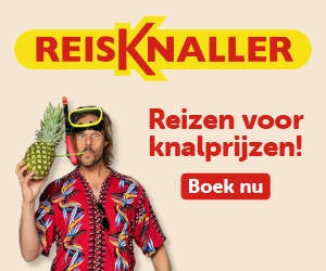 Reisknaller