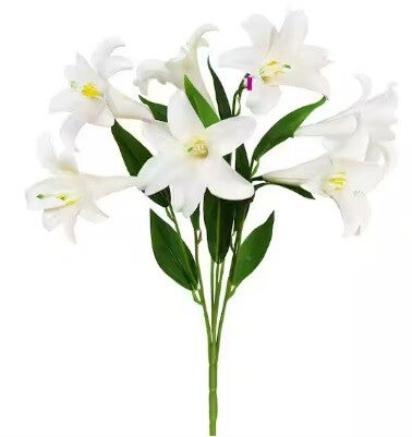 White Easter Lilly