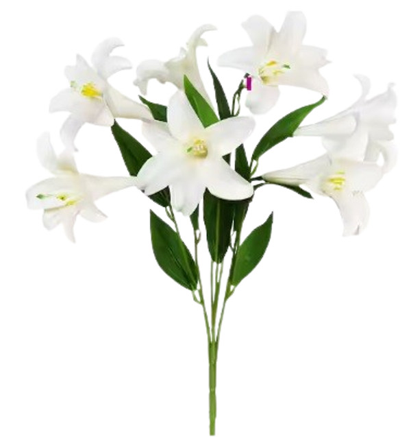 White Easter Lilly