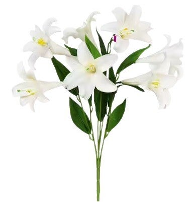 White Easter Lilly