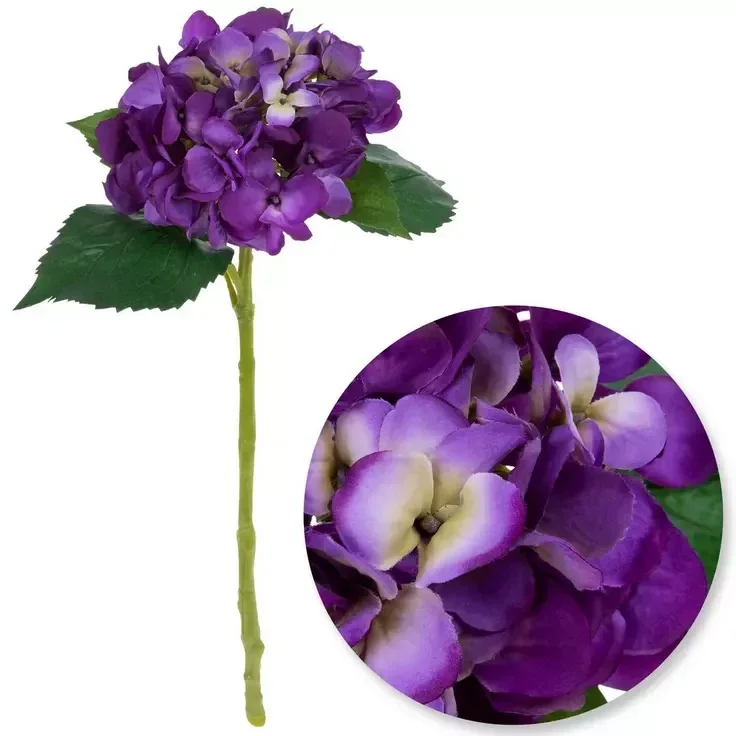 Hydrangea- Purple