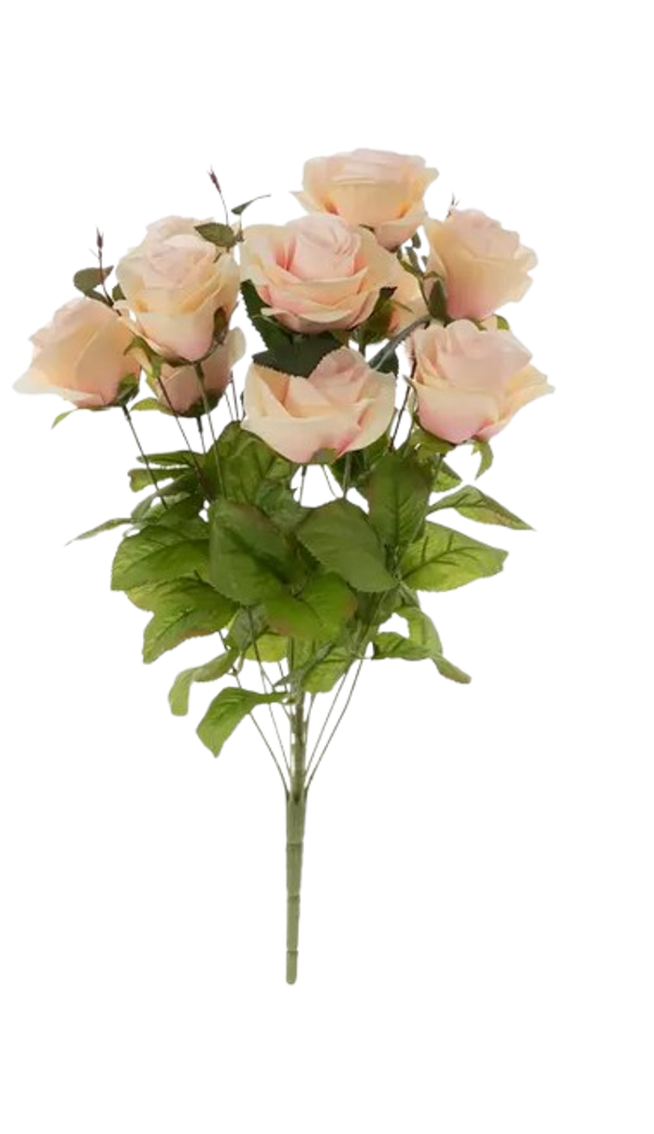 Pink Roses-Medium