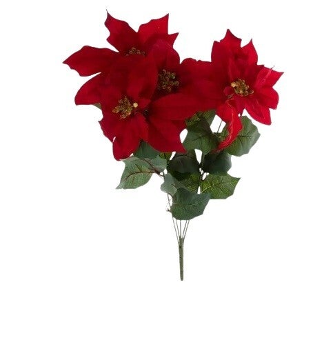 Red Poinsettia Bush