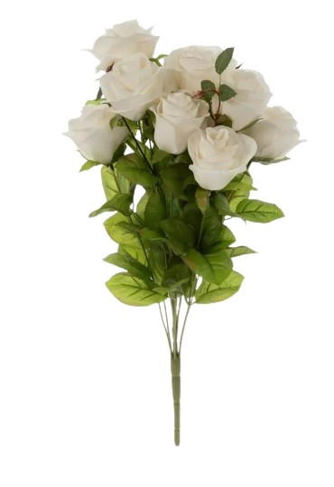rose-medium-lite-pink-standard.png