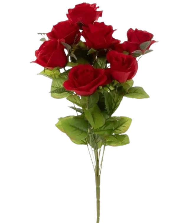 Rose - Medium Red