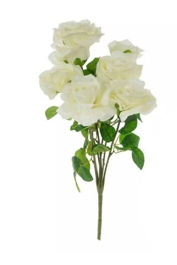 rose-medium-white-standard-prej6z.jpg