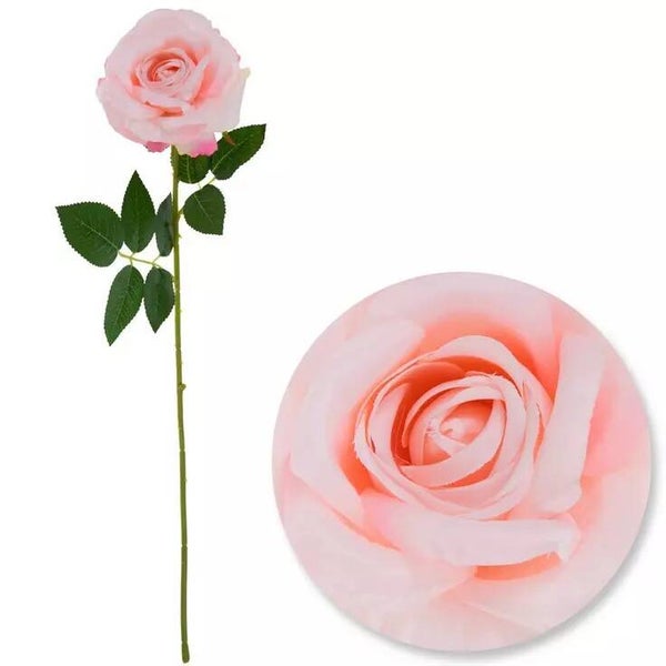 Rose- Pink Single