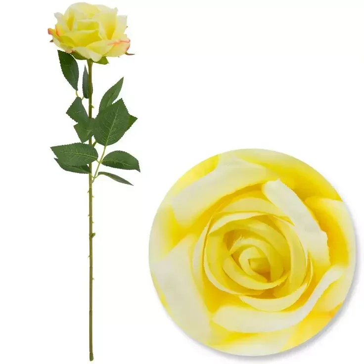 Rose -Single Yellow