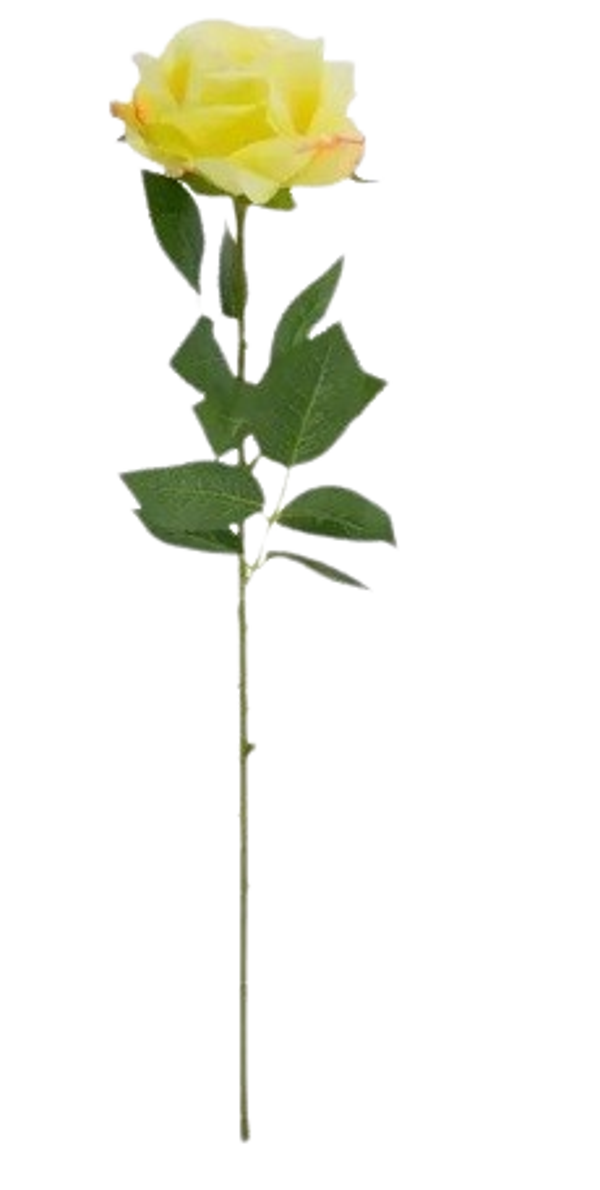 Rose -Single Yellow
