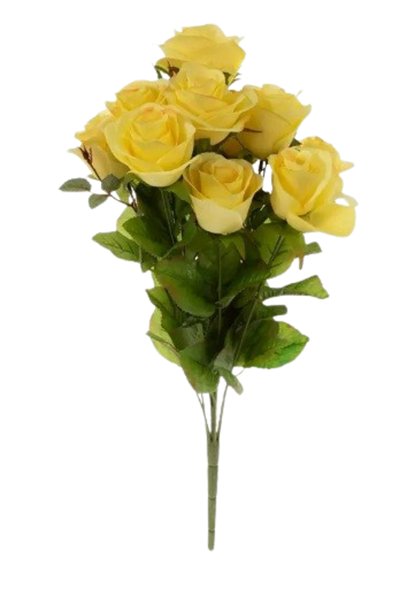 Rose Medium Yellow