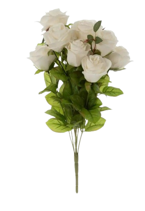 Rose - Lite Pink Medium
