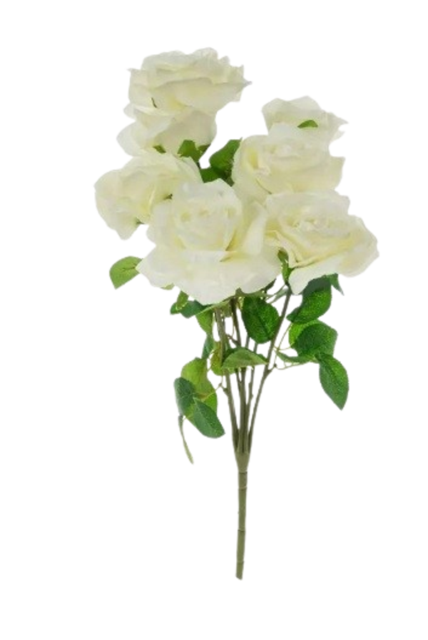 Rose Medium White