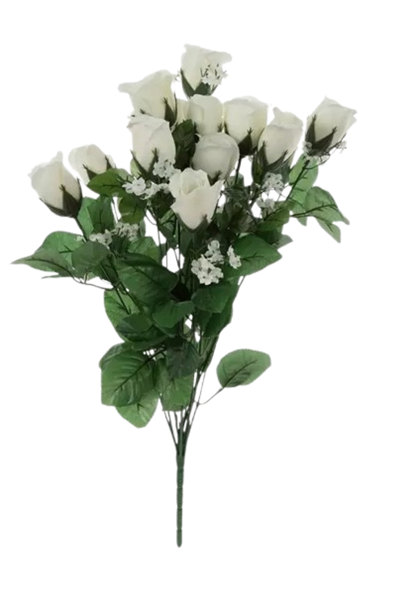 Roses - White, Large Closed Budding