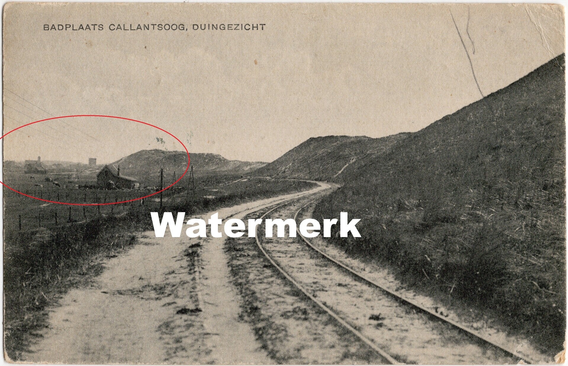 Ansichtkaart - Briefkaart Duingezicht met Tramspoor Badplaats Callantsoog, Noord-Holland (1921)