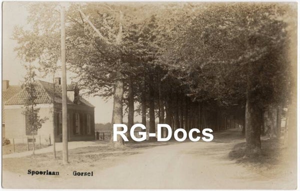Ansichtkaart - Fotokaart Spoorlaan Gorssel, Zicht op laan met bomen en huis, Gelderland (ca. 1915)