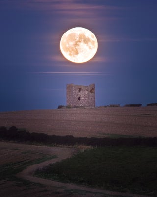 burt-moon-centre-f-standard.jpg