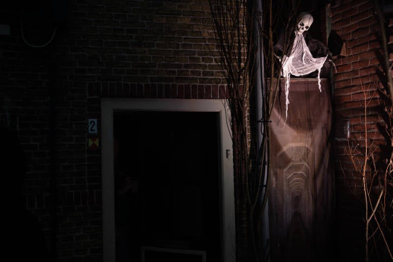 gfw-20221210-43875-standard-st9dov.jpg