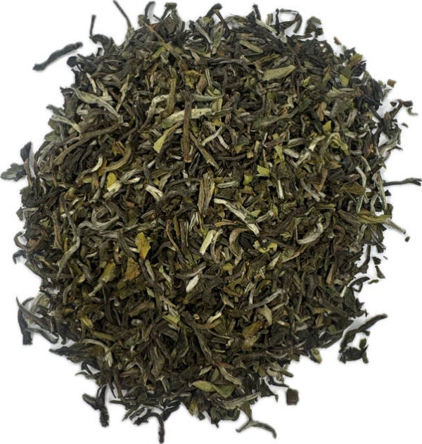Darjeeling Snowview First Flush 2025