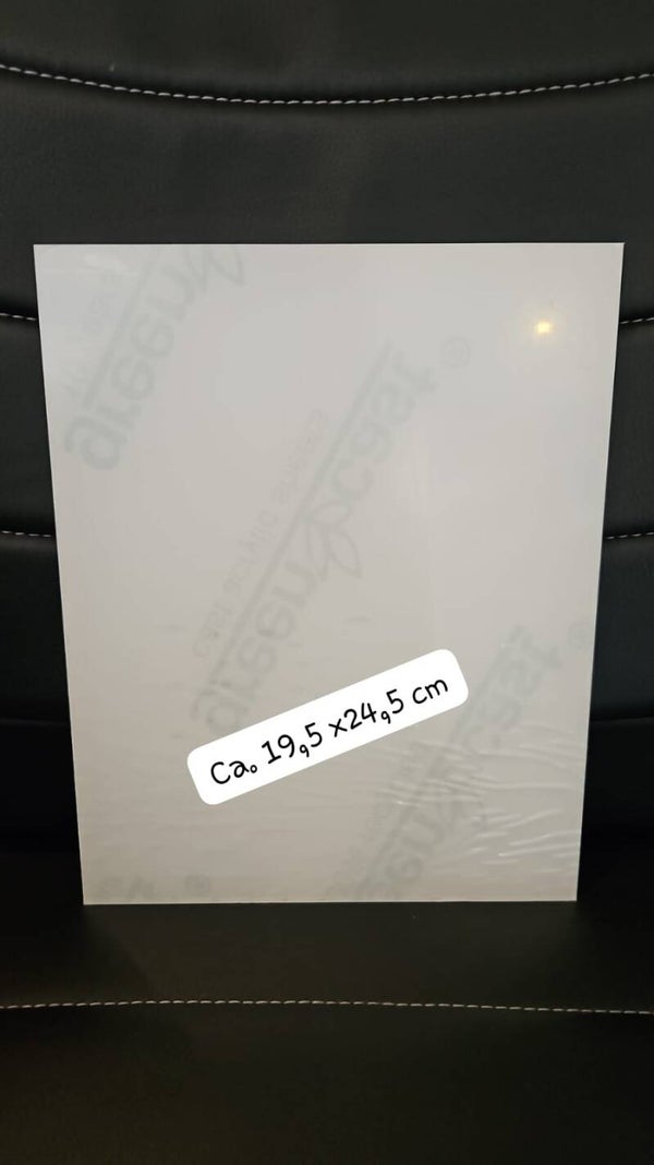 Acrylplatte  19,5 x 24,5