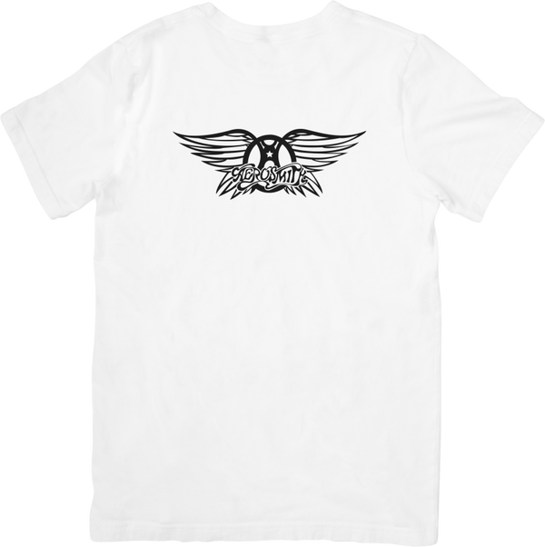 Aerosmith 10 Music Unisex Fit for Men & Women Quality Cotton T-Shirt Black