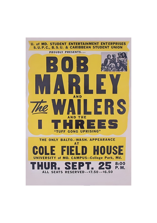 Bob Marley 15 Music Print  Concert Wall Art Memorabilia gift A5,A4,A3