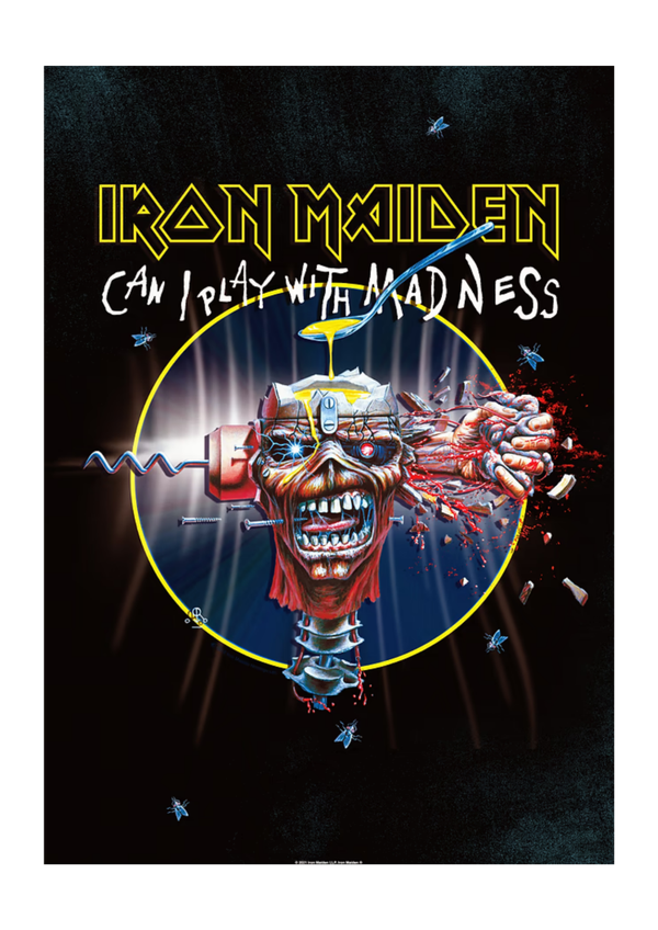 Iron Maiden 019 Music Print  Concert Wall Art Memorabilia gift A5,A4,A3