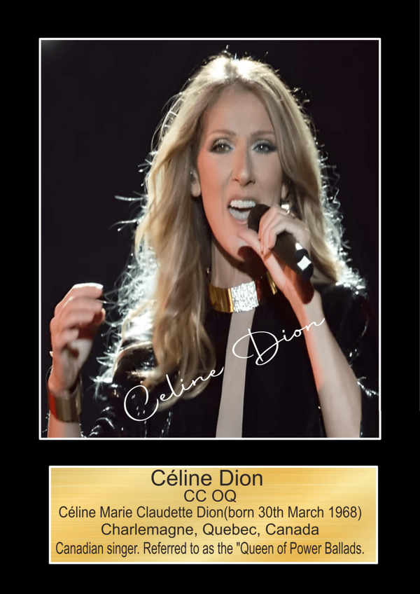 Celine Dion Music Poster Wall Art Memorabilia gift A5,A4,A3.