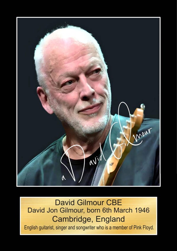 Pink Floyd David Gilmour Music Poster Souvenir Wall Art Memorabilia gift A5,A4,A3.
