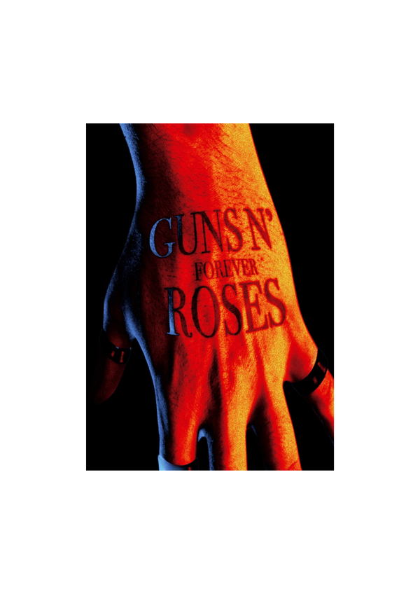 Guns n Roses 9 Music Print  Concert Wall Art Memorabilia gift A5,A4,A3