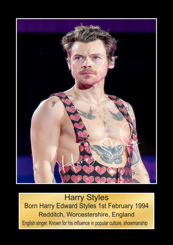 Harry Styles 1 Music Poster Wall Art Memorabilia gift A5,A4,A3.