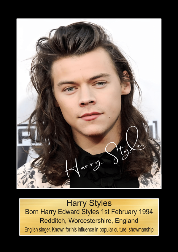Harry Styles 2 Music Poster Wall Art Memorabilia gift A5,A4,A3.