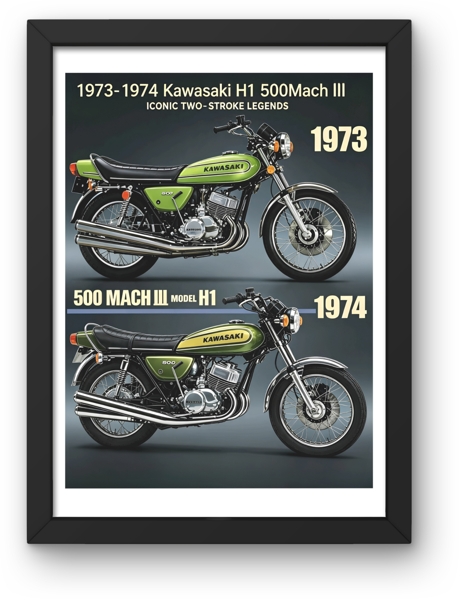 Kawasaki H1 500 111 1973-1974 Print PDF,File  Instant Digital Download ,A3,A4,A5.