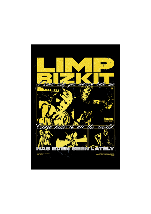 Limp Bizkit 6 Music Print  Concert Wall Art Memorabilia gift A5,A4,A3