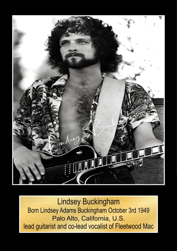 Lindsey Buckingham Music Poster Wall Art Memorabilia gift A5,A4,A3.