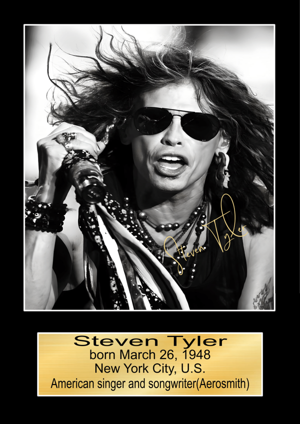 Steven Tyler Aerosmith print Music Poster Wall Art Memorabilia gift A5,A4,A3.