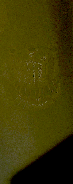 Acklay, Alien
