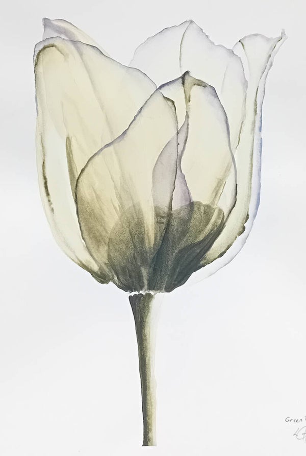 Tulipe 1