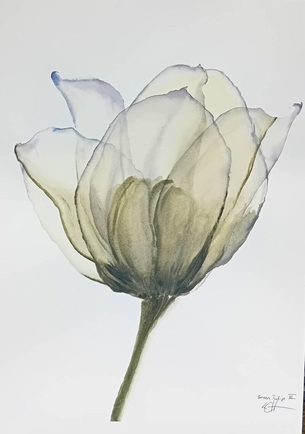 Tulipe 2