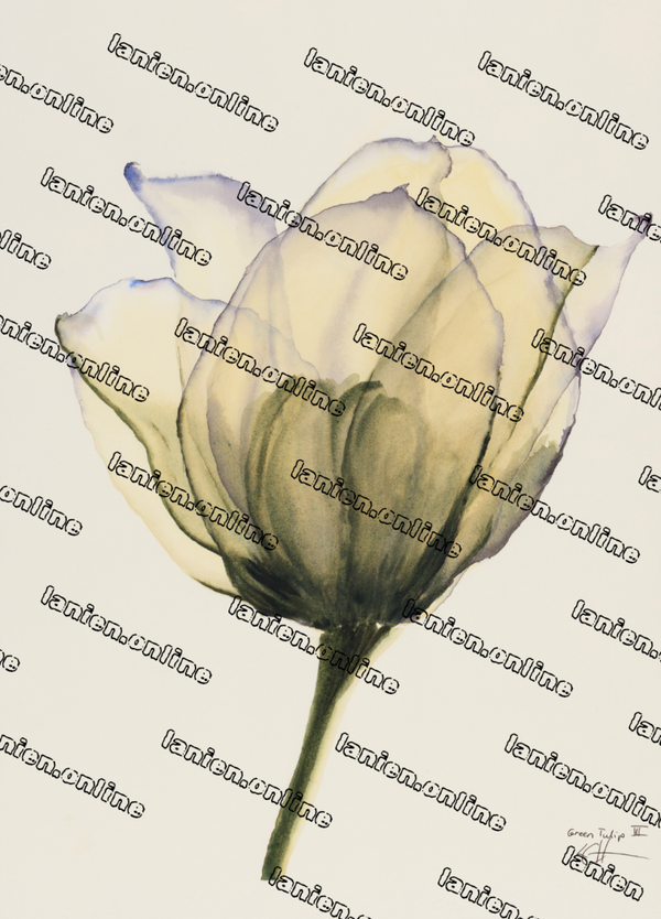 Green Tulip III from the 12th dimension