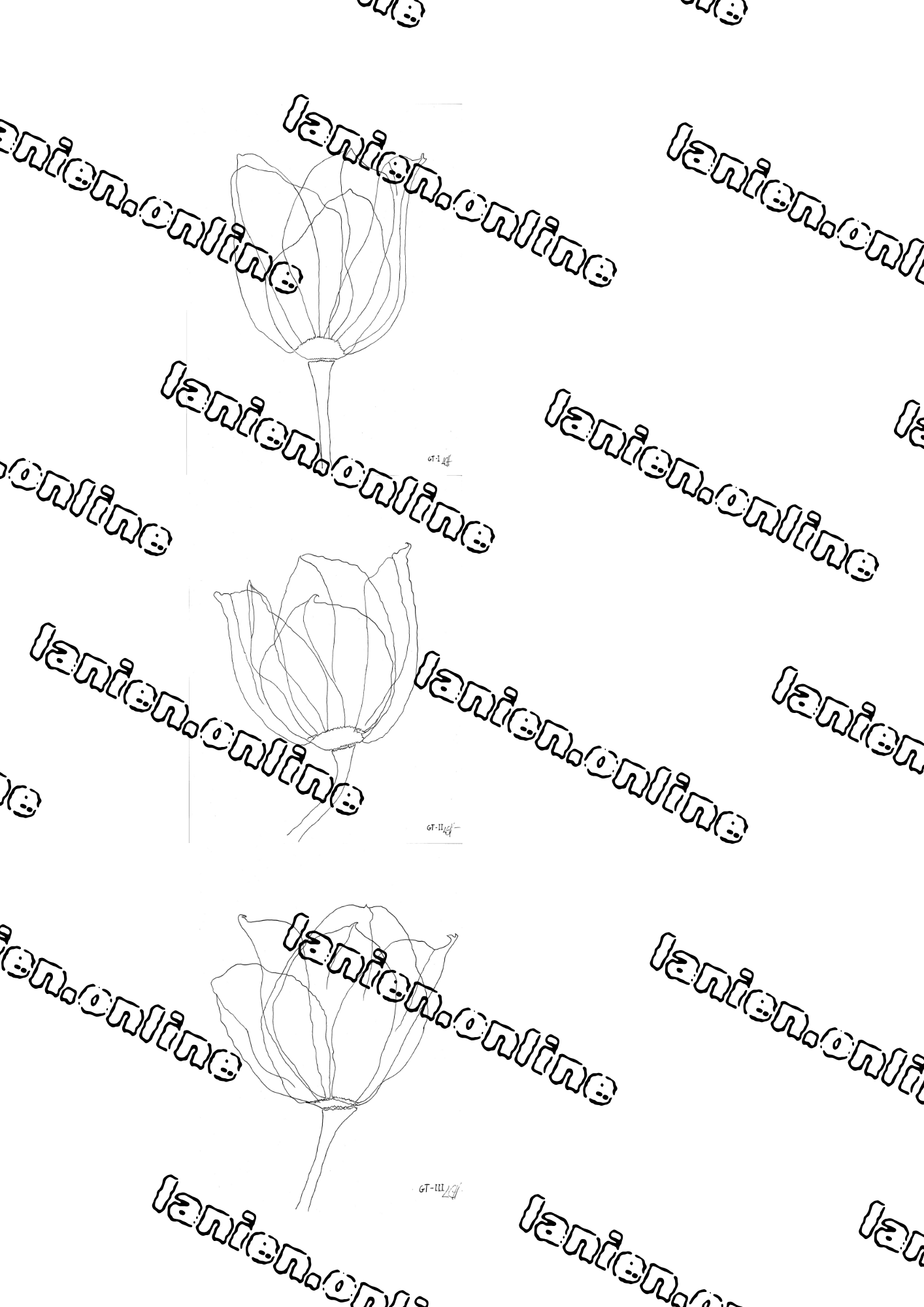 3 Green Tulips - Black Ink