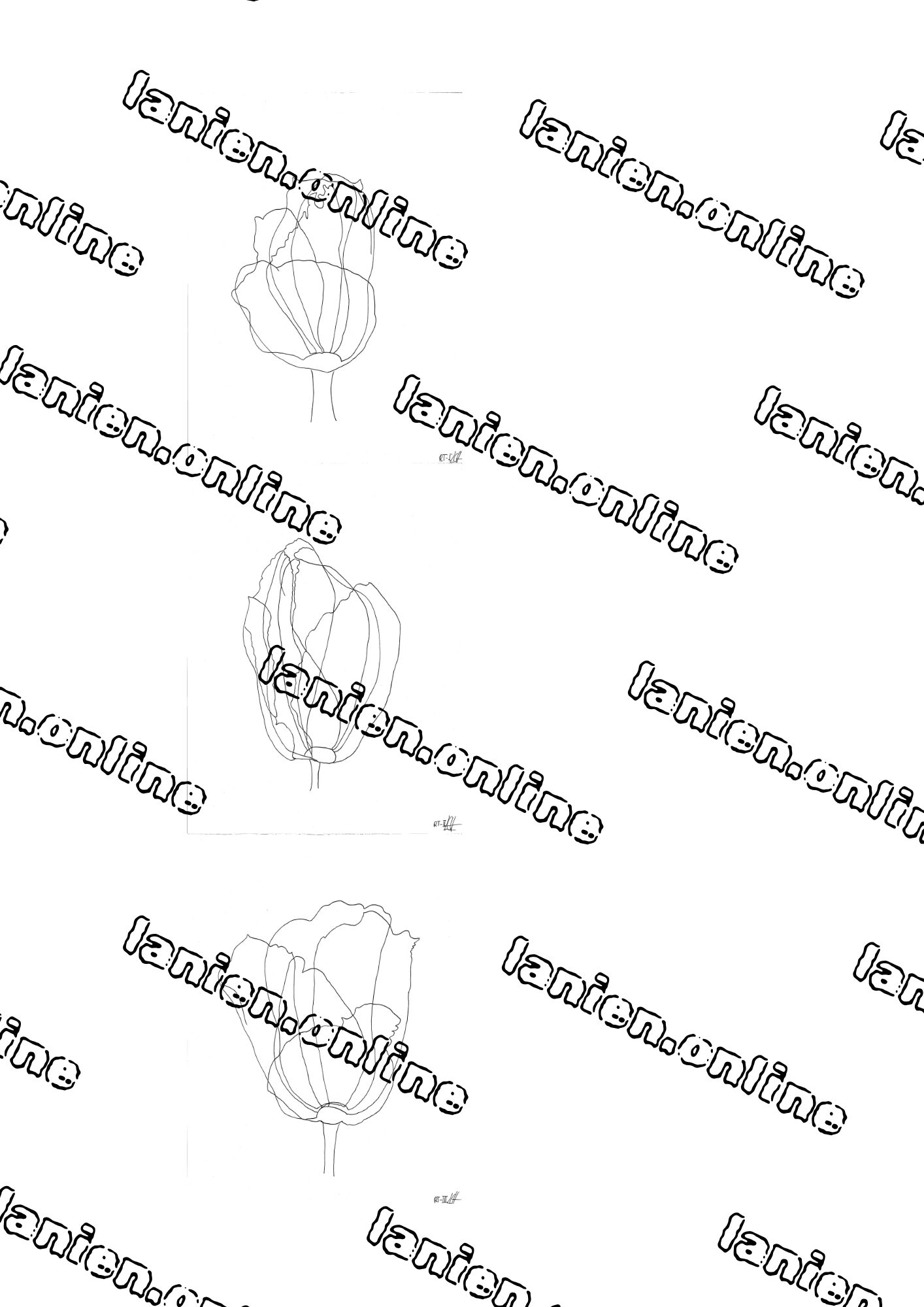 3 Red Tulips Black Ink