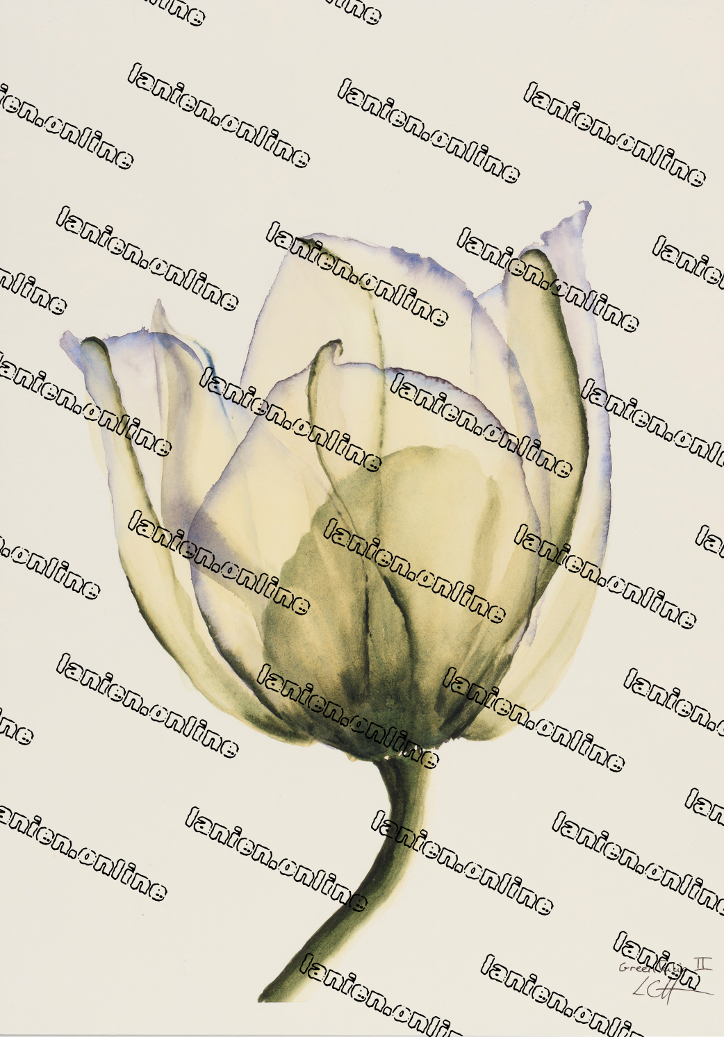 Green Tulip II from the 12th dimension, Commerciel