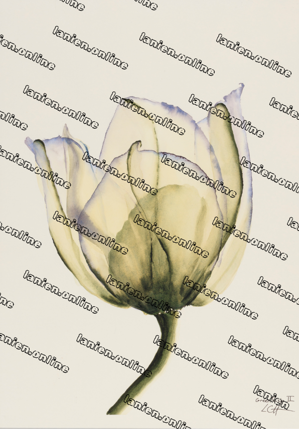 Green Tulip II from the 12th dimension, Commerciel