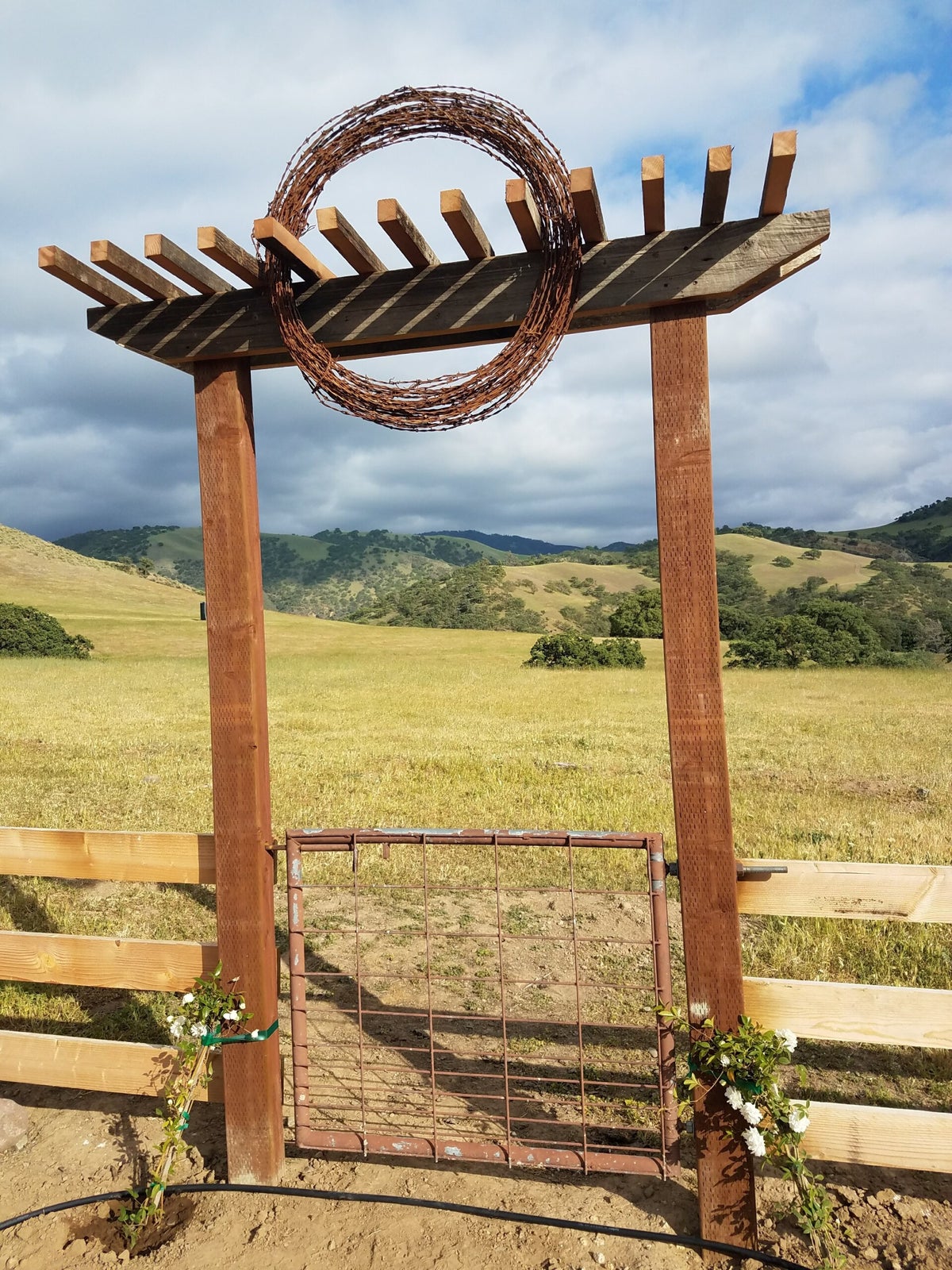 WHERE'S THE BEEF | JNB RANCH