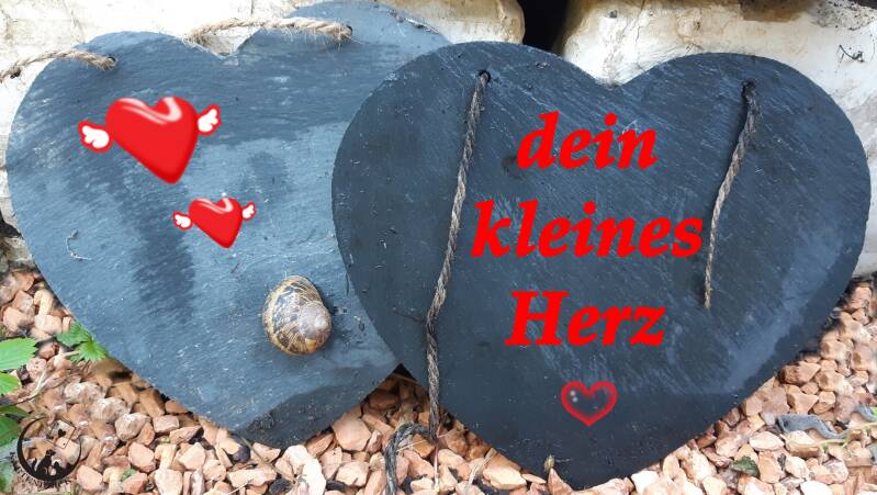 Dein kleines Herz I Kartenblick Anja Summer